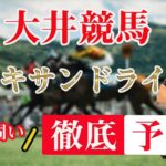 【 地方競馬予想 】6/7 大井競馬 11R アレキサンドライト賞 予想