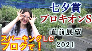 【競馬】七夕賞 プロキオンS 2021 直前展望(川崎スパーキングレディカップはブログで）ヨーコヨソー