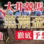 【 地方競馬予想 】大井競馬競馬予想11R 黒潮盃 (3歳　重賞)