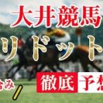 【 地方競馬予想 】大井競馬競馬予想 12R ペリドット賞(B2)