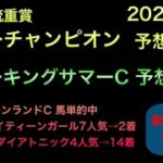 【競馬予想】　地方交流重賞　サマーチャンピオン　南関東重賞　スパーキングサマーカップ　2021 予想