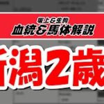 【2021新潟2歳S】元競馬記者と血統評論家の重賞血統&馬体談義！！！