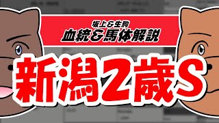 【2021新潟2歳S】元競馬記者と血統評論家の重賞血統&馬体談義！！！