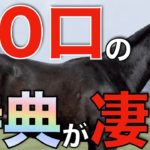 【入会記念】社台系40口クラブの特典が豪華すぎる！種牡馬カタログからマスクケースまで。【一口馬主】
