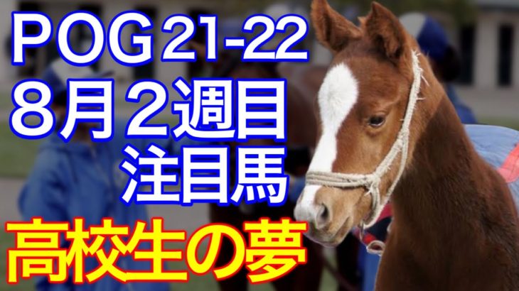 【POG/21-22】８月２週目デビューの注目新馬を紹介 【高校生が生産した高額馬がデビュー！】