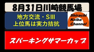 【競馬予想】SⅢスパーキングサマーC2021年8月31日 川崎競馬場