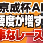 【競馬予想】 2021 京成杯オータムハンデ「秋のG1へ最重要レース」