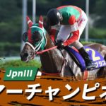 2021年 サマーチャンピオン JpnIII｜第21回｜NAR公式