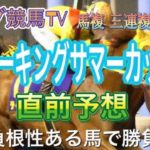 【スパーキングサマーカップ 2021】直前予想〜パンダ競馬TV