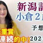 【競馬】新潟記念 小倉2歳S 2021 予想(日曜メインの丹頂S はブログで！)ヨーコヨソー