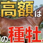 【日本で1頭】珍しい種牡馬の産駒が最高価格！オータムセールは特徴的な結果に。【競馬】