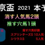 【競馬予想】　地方交流重賞　東京盃　2021 予想