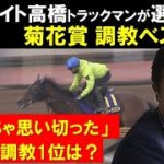 《菊花賞・調教ベスト3》競馬エイト高橋賢司さんが厳選！「めっちゃ思い切った」意外な1位はアノ馬