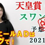 【競馬】天皇賞秋 スワンS 2021 予想 (スワンSは馬連25.2倍的中！)ヨーコヨソー