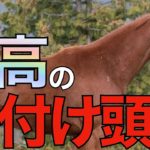 【優駿が熱い】今年の種付け頭数を各スタリオンが発表中！日高で人気を集める種牡馬は。【競馬】