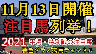 【注目馬列挙】2021年11月13日JRA平場特別戦！土曜日はどこも軽く水分を含んだ馬場！