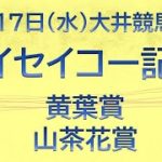 ハイセイコー記念2021予想｜16日予想はパーフェクト！