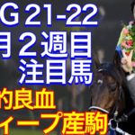 【POG/21-22】１１月２週目デビューの注目新馬を紹介【世界的良血のディープ産駒 アーティットがデビュー！】