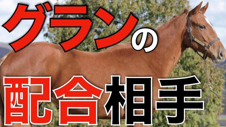 【夢広がる】グランアレグリアの初年度配合はどの馬？色々な種牡馬でシュミレートしてみた。【競馬】