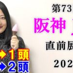 【競馬】阪神ジュベナイルフィリーズ 2021 直前展望(大井競馬　勝島王冠はブログで！)ヨーコヨソー