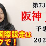 【競馬】阪神ジュベナイルフィリーズ 2021 予想(香港国際競走はブログで！)ヨーコヨソー