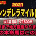 【 東京シンデレラマイル2021 】地方競馬予想〜まだまだ終わらない地方重賞