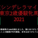 【競馬予想】2021 12/30東京シンデレラマイルと12/31東京2歳優駿牝馬【地方競馬】