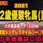 【 東京2歳優駿牝馬2021 】地方競馬予想〜今年最期の地方重賞