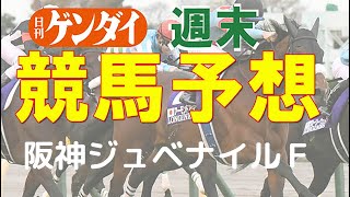 第73回阪神ジュベナイルF（12/12・阪神11レース・GⅠ）【日刊ゲンダイ競馬予想】