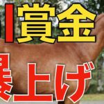 【絶好調】有馬記念とジャパンCは1億円アップ！2022年のJRA重賞賞金を探る。【競馬】