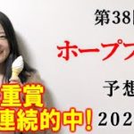 【競馬】ホープフルS 2021 予想(阪神メインのベテルギウスSはブログで予想！)ヨーコヨソー