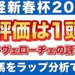【日経新春杯2022 予想】S評価は1頭！ステラヴェローチェなど有力馬をラップ分析で評価！