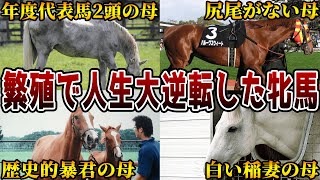 【競馬】繁殖牝馬として大成功をおさめた馬たち【8選】