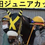 【園田競馬】ヒカル牧場生産馬、デビューから三度目の重賞挑戦！〜年末のご挨拶あり