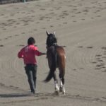 【カラ馬】 中山競馬場 第1R ステップ が放馬で少しパニックに 現地映像