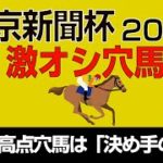 東京新聞杯2022走法最高点穴馬は「決め手の権化」
