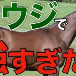 【圧倒的】日本馬がサウジアラビアで爆走！世界で輝くステイゴールド系。