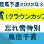 椿賞2022予想｜忘れ雪特別・風信子賞【2022年3月1日川崎競馬予想】