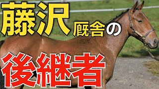 藤沢和雄厩舎を継ぐのは！？所属馬の転厩先が熱すぎた。