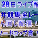 大井競馬ライブ　メインレーススノードロップ賞