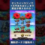 【オンラインカジノ】1万円チャレンジ！！