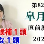 【競馬】 皐月賞 2022 直前展望(船橋競馬マリーンCの予想はブログで！)