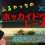 【2022ホッカイドウ競馬】5月17日(火)門別競馬レース展望～シスキン･プレミアム
