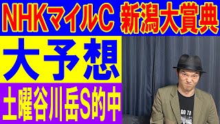 NHKマイルカップ　新潟大賞典　予想　くず競馬5月７日