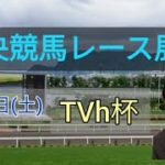 【函館競馬】2022中央競馬レース展望🏇～TVh杯
