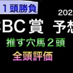 【競馬予想】 CBC賞 2022 予想