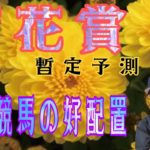 【菊花賞】10月22日（日）阪神競馬の出馬表からの騎手、厩舎の好配置発表。暫定予想は11R菊花賞（G1）です。