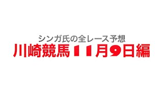 11月9日川崎競馬【全レース予想】ロジータ記念2022