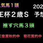 【競馬予想】 京王杯2歳ステークス 2022 予想