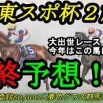 【最終予想】2022東京スポーツ杯2歳ステークス！毎年注目の大出世レース！今年はこの馬の素質に期待！